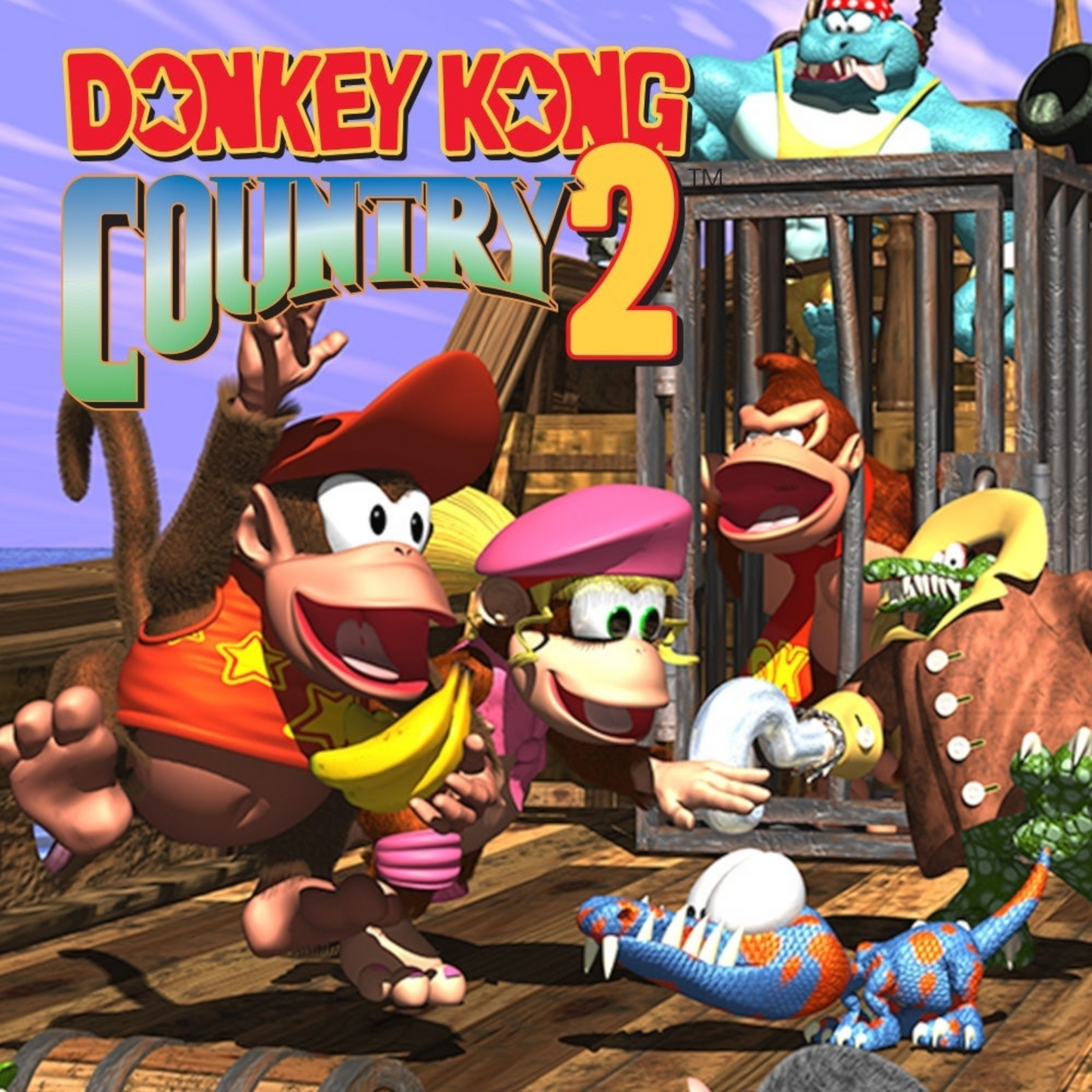 1995 Donkey Kong Country 2 Longe Sleeve Promo