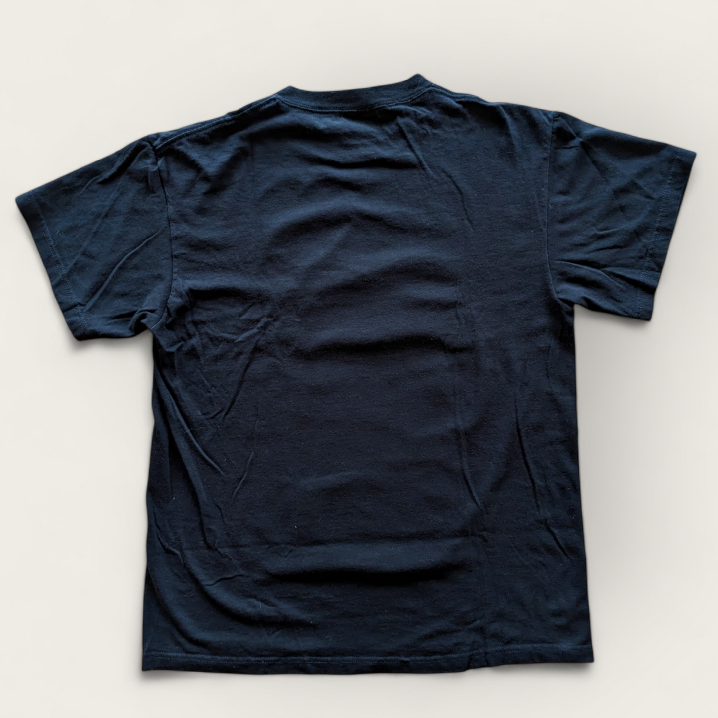 2011 Legend of Zelda Twilight Princess Nintendo Selects promo