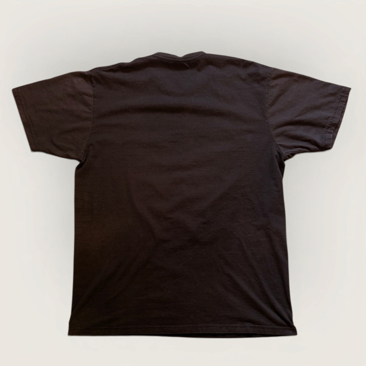 2009 Left 4 Dead 2 Original Promo shirt