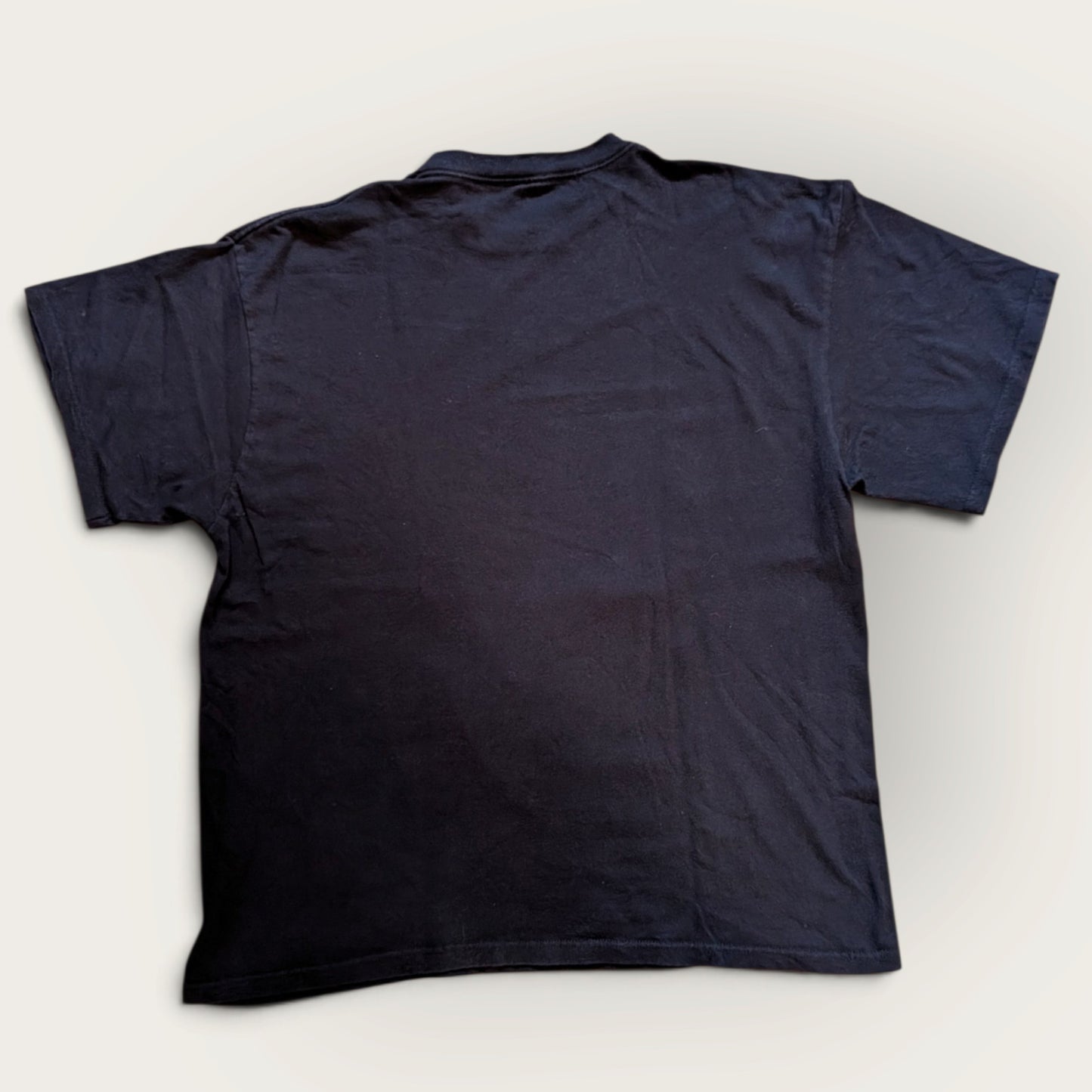 2011 Legend of Zelda Twilight Princess "Combat" Promo shirt