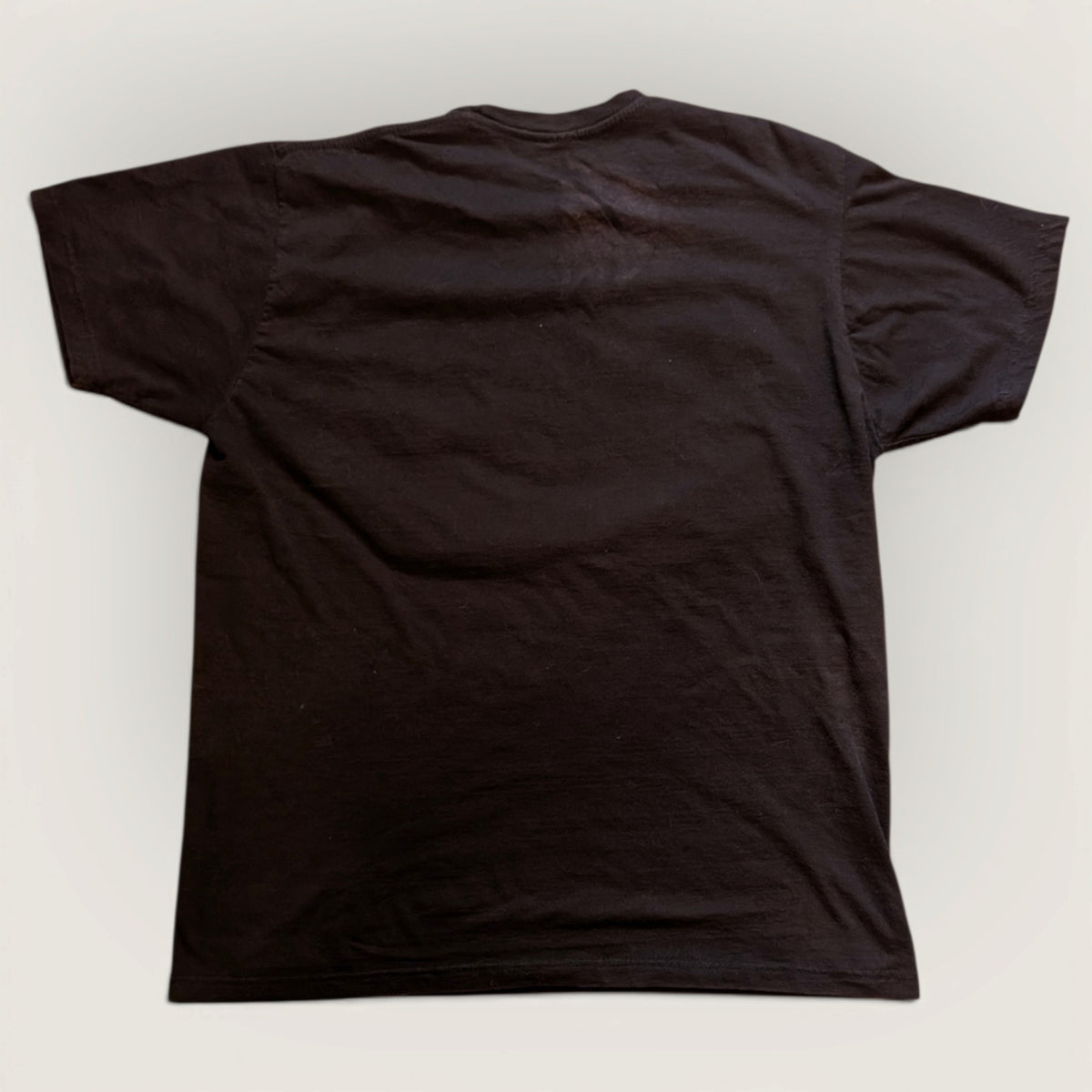 2009 Left 4 Dead 2 "Dark Carnival" Promo shirt