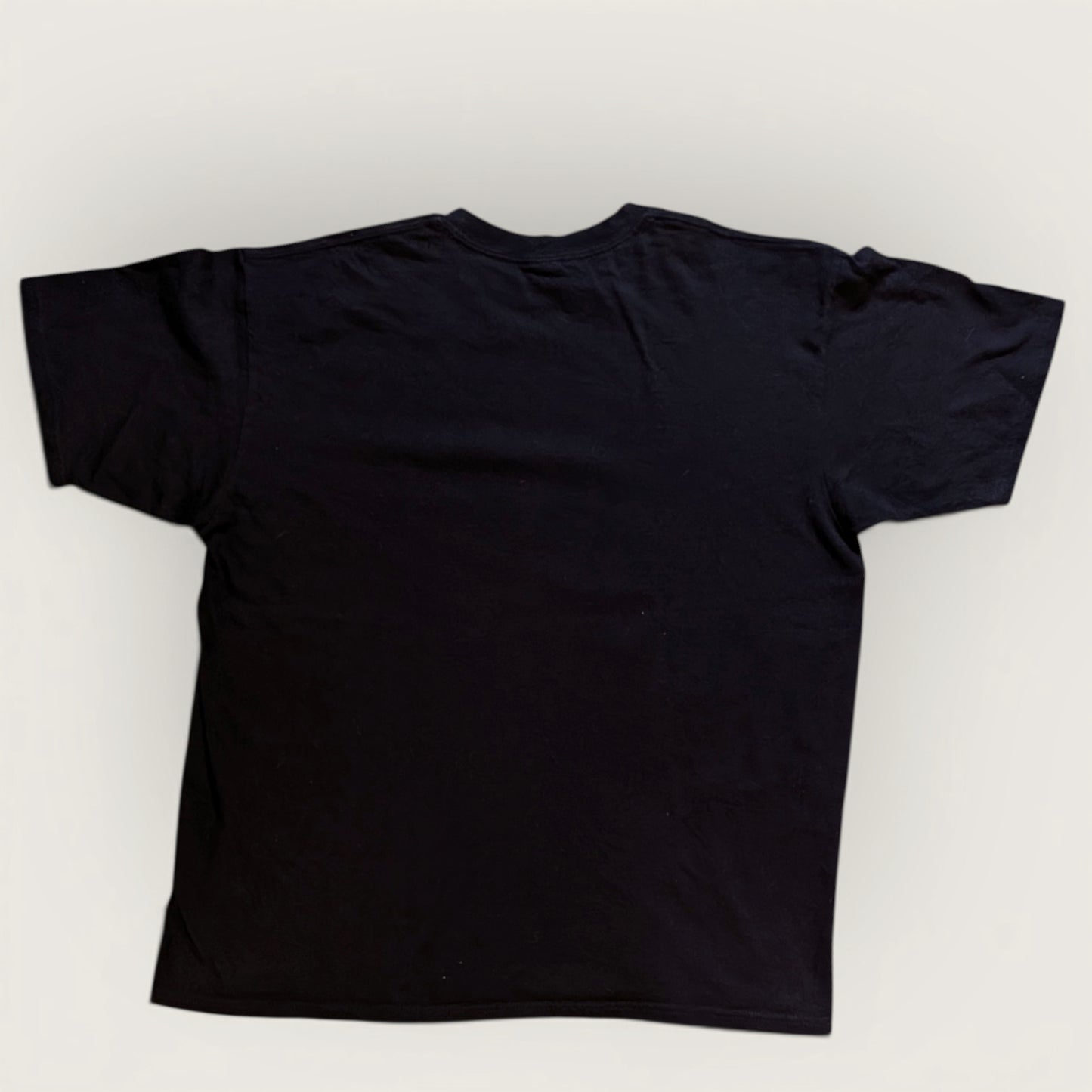 2010 BioShock 2 Promo shirt